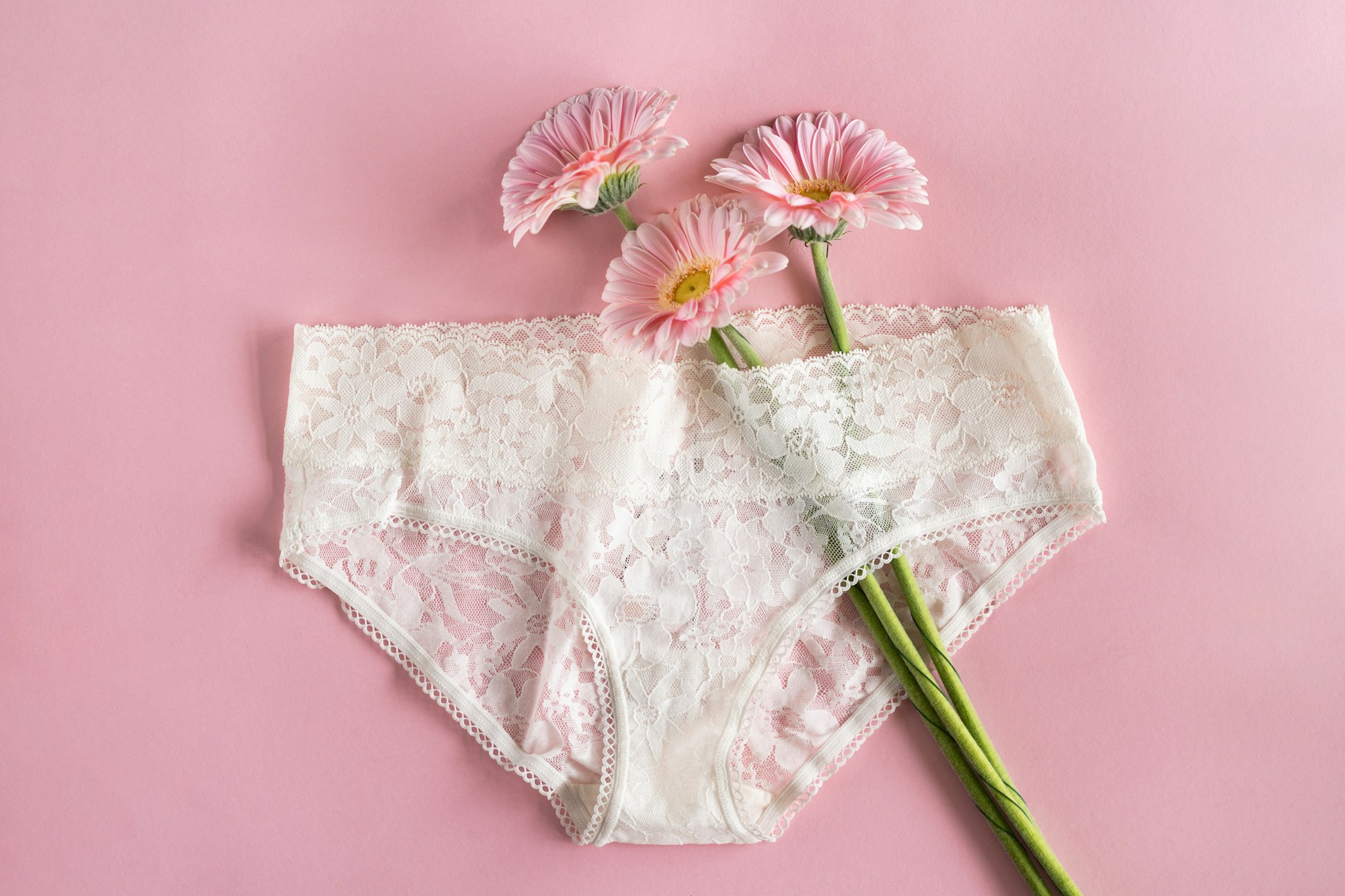 White lingerie panty and pink gerbera flowers. Fashion cloth, lingerie.