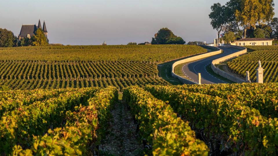 domaine viticole auvergne
